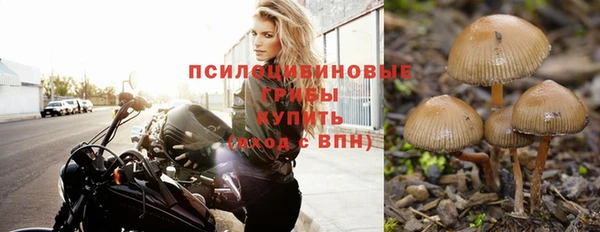 герыч Нефтекумск